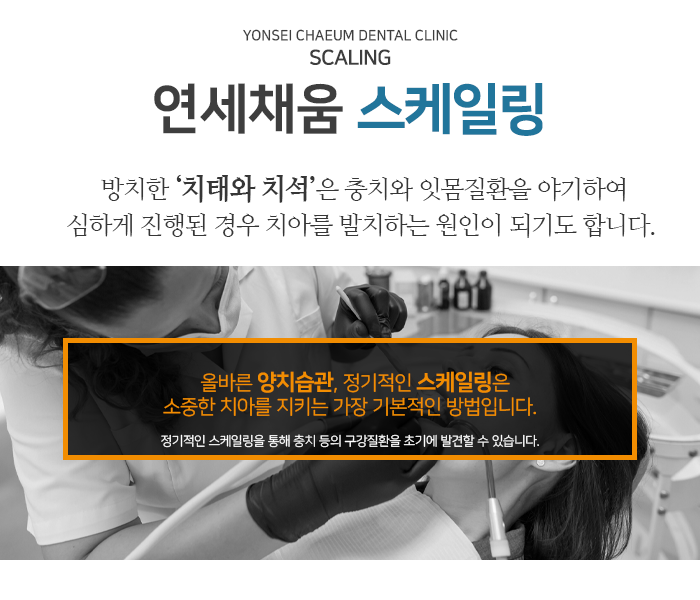 연세채움 스케일링