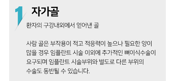 뼈이식 자자골