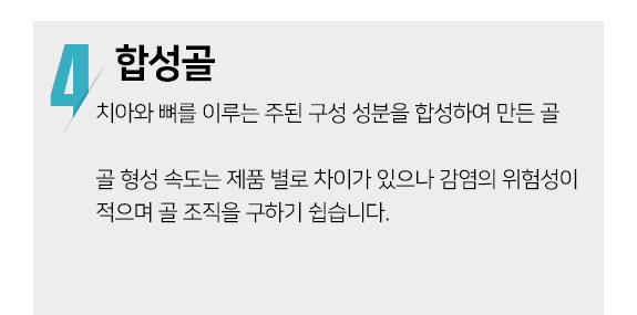 뼈이식 합성골